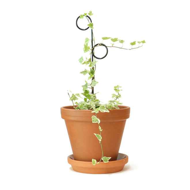 Mini plant stake zwart - Perch