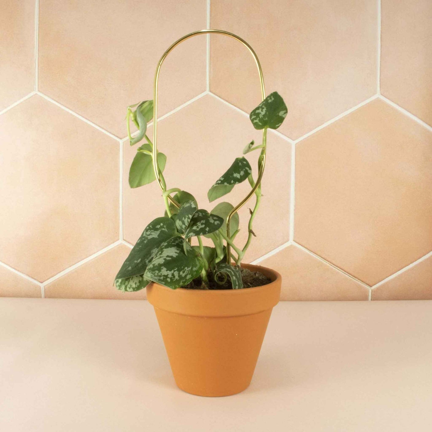 Mini plant stake goud - Hoop