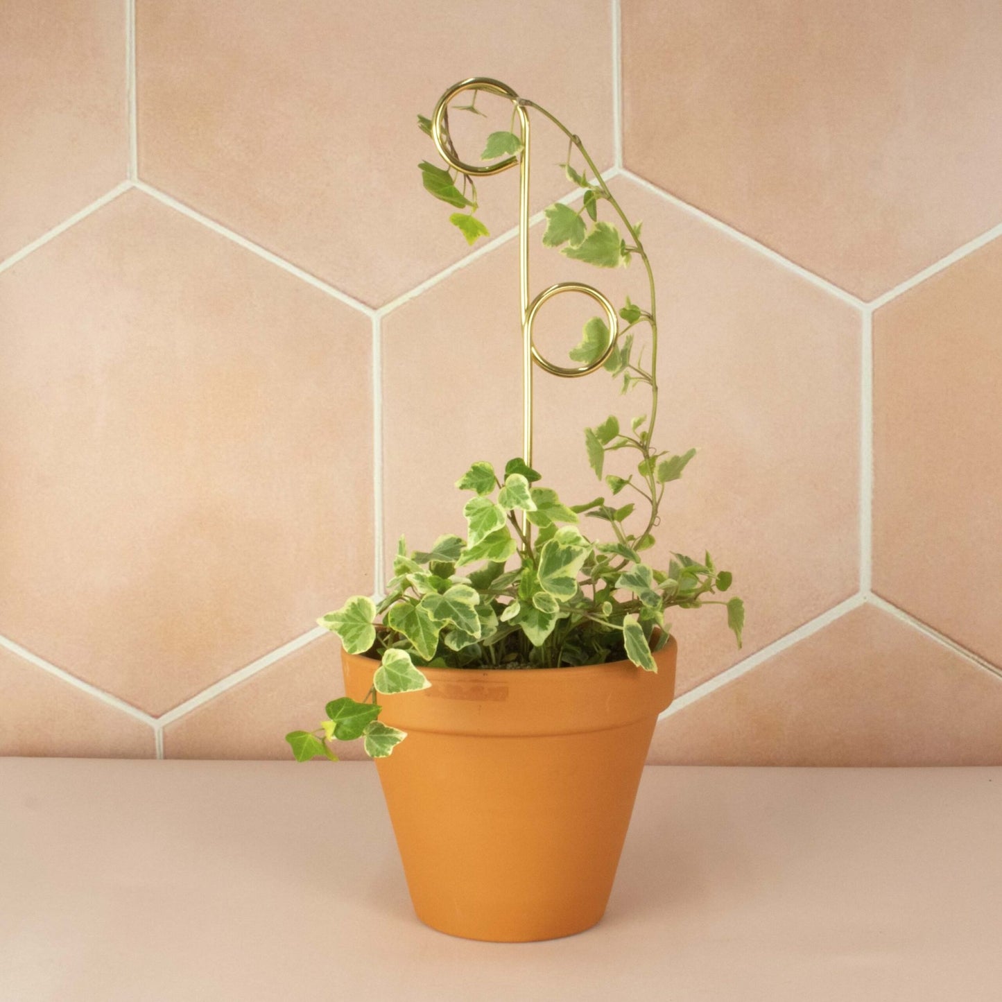 Mini plant stake goud - Perch