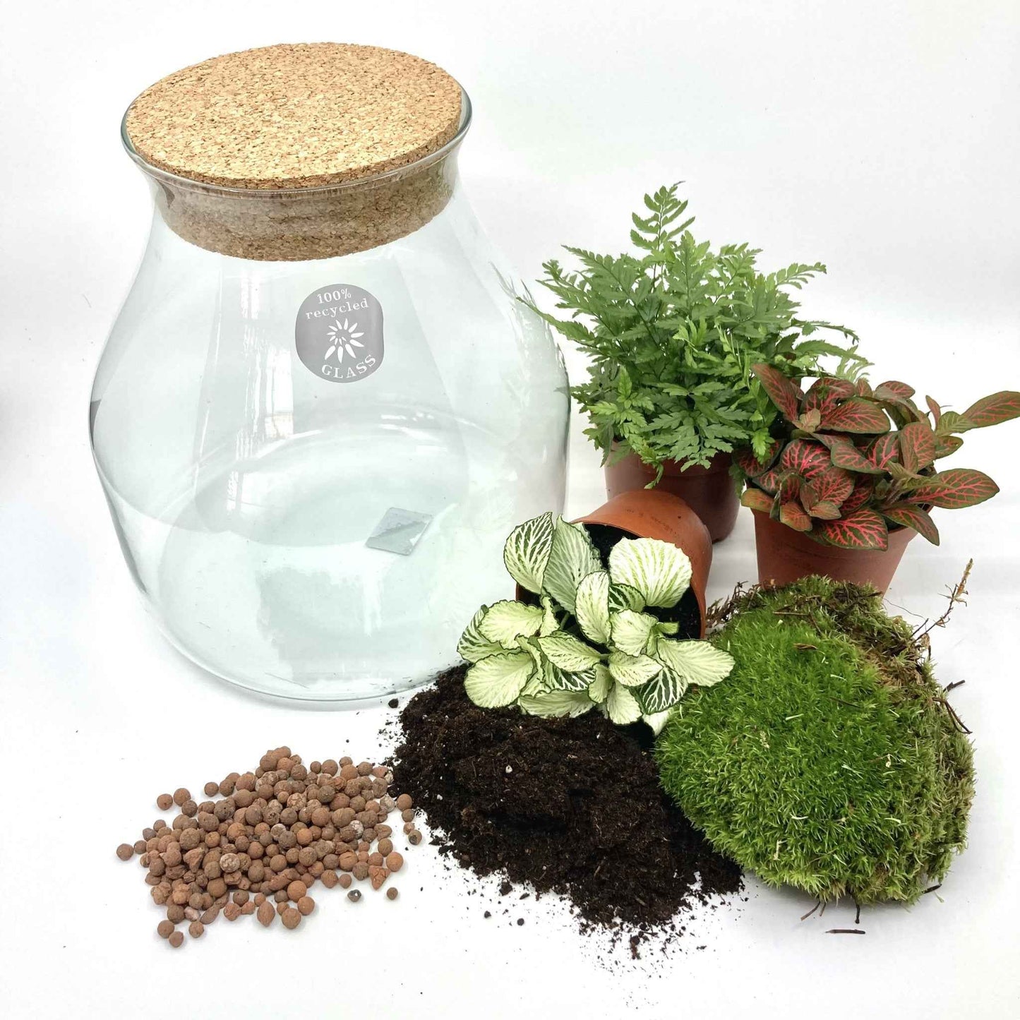 DIY-box mini biosfeer 1