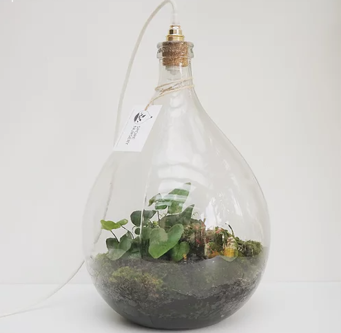 Biosfeer 20 L met lamp