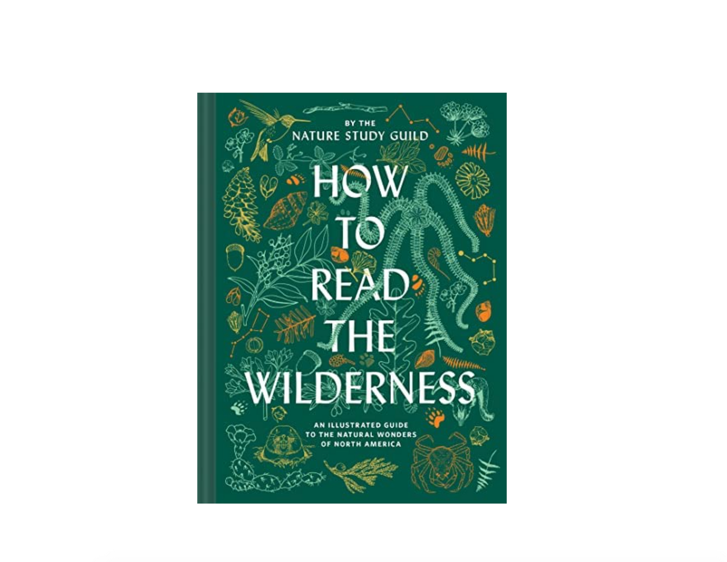 How to read the wilderness