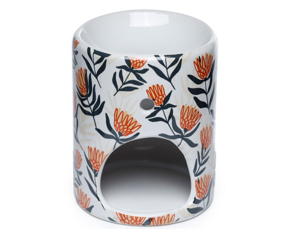 Wasbrander Protea - Spore Nursery