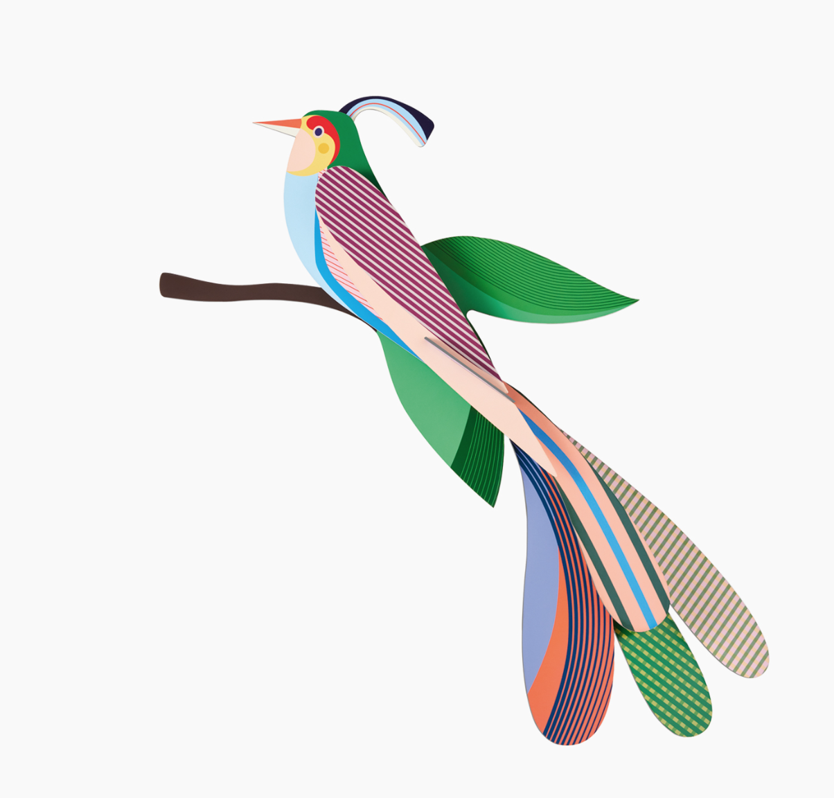 Maya - Spore Nursery