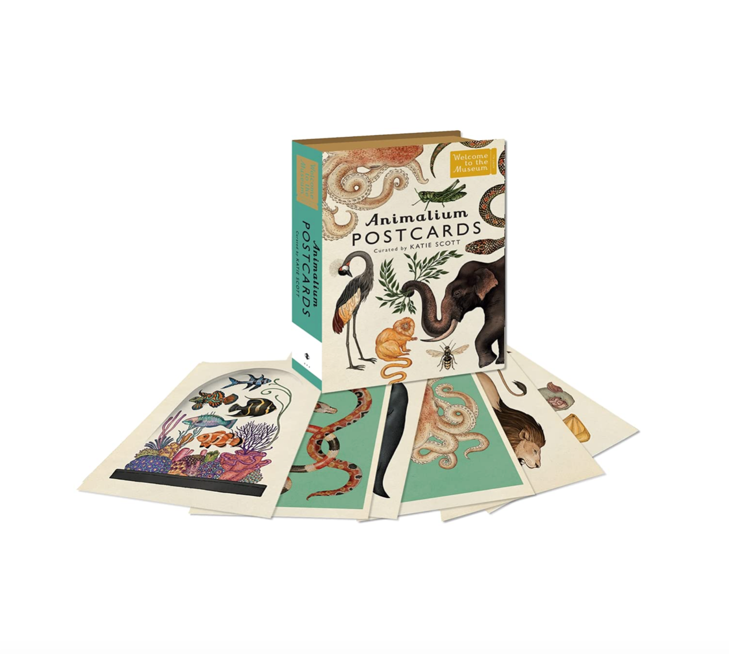 Welcome To The Museum - Animalium postkaart box
