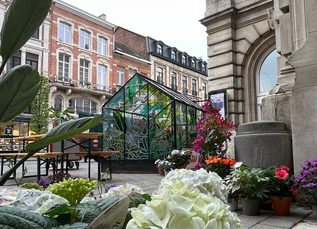 Spore Pop up't - Spore Nursery