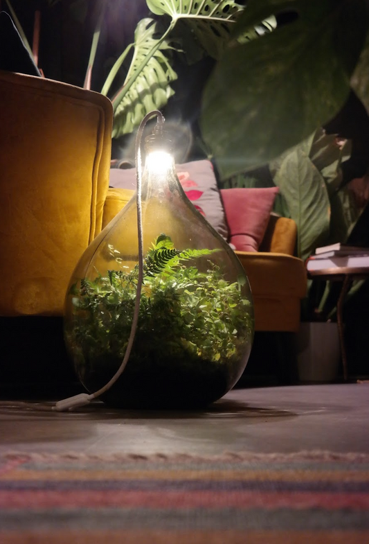 Van Victoriaans Londen tot in jouw huiskamer. - Spore Nursery