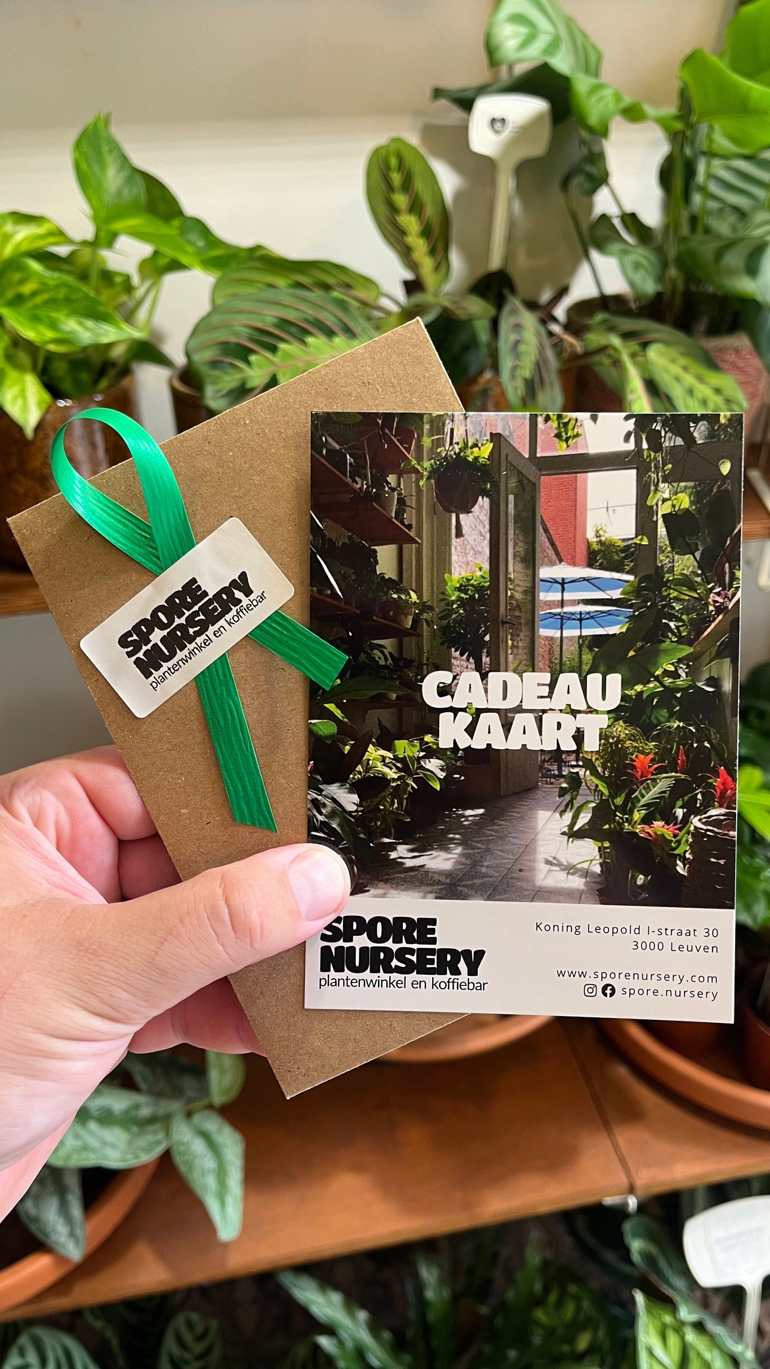 Gift Cards - Spore Nursery