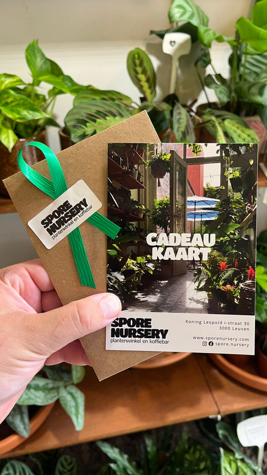 Spore Nursery Cadeaukaart (Digitaal)