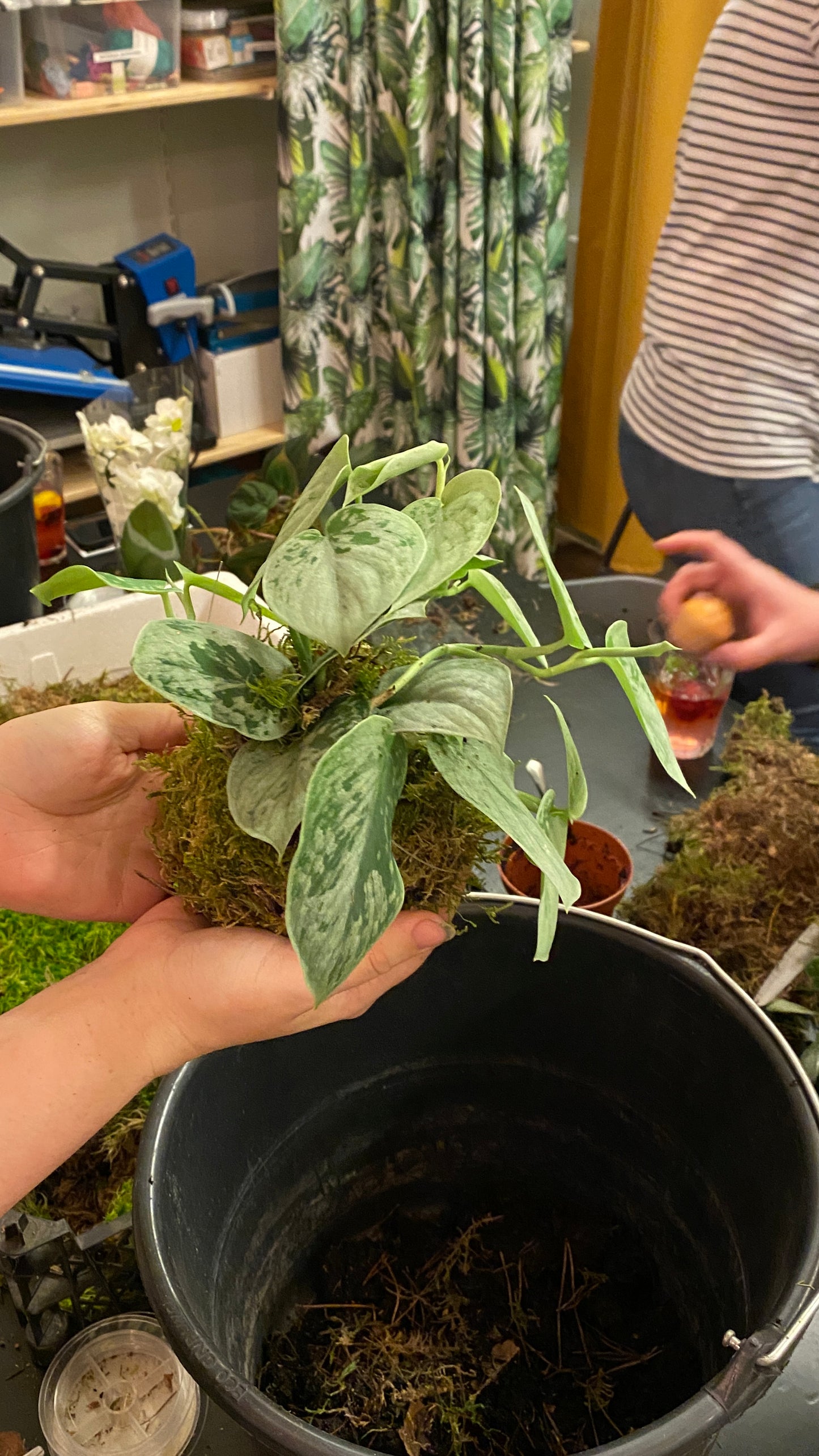 Workshop kokedama (15 november 2025)