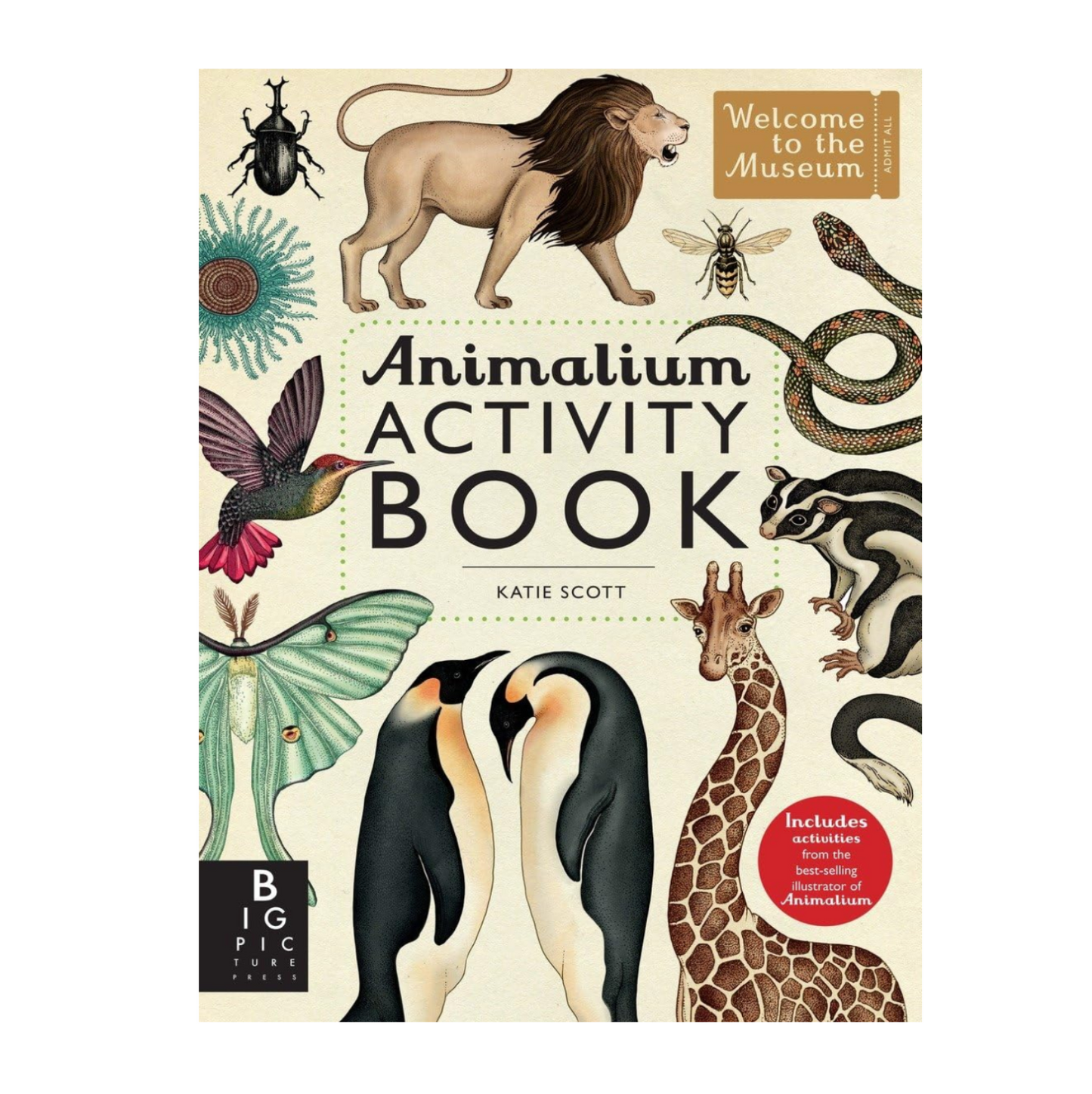 Animalium: Activity book