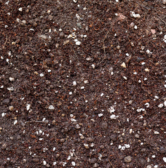 Potgrond: Tropische plantenmix 4L