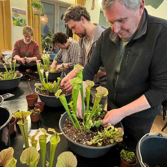 Workshop Vleesetende planten (7 juni 2025)