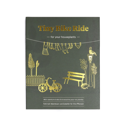 Tiny Bike Adventure