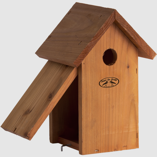 Nestkast pimpelmees in douglas hout