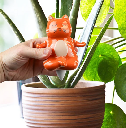 Zelfwaterende yoga-kat