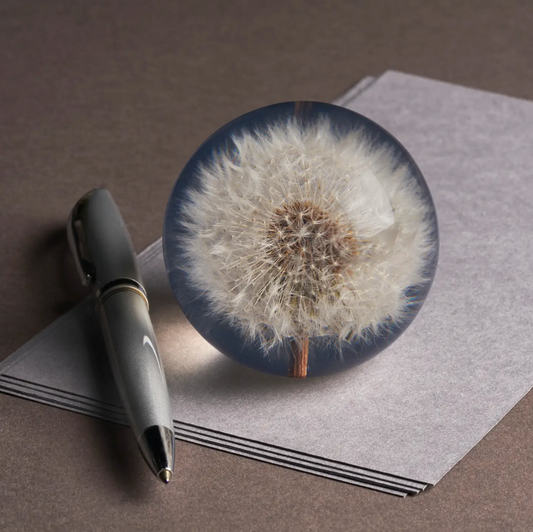 Presse papier: Taraxacum