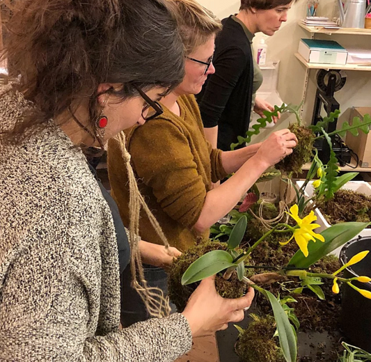 Workshop kokedama (15 november 2025)