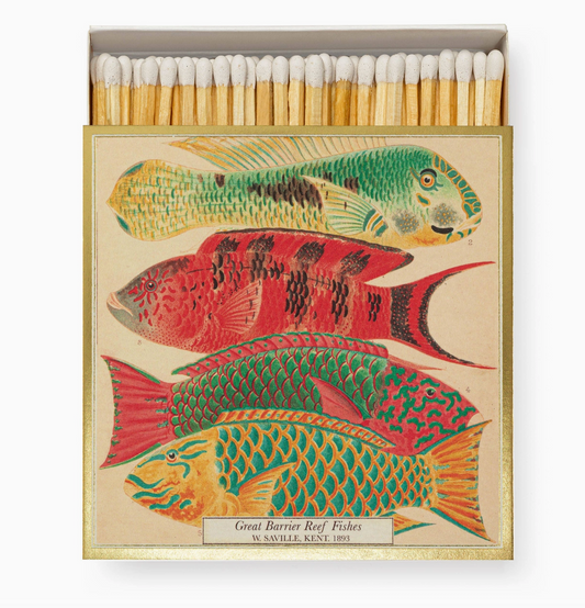 Great Barrier Reaf Fishes