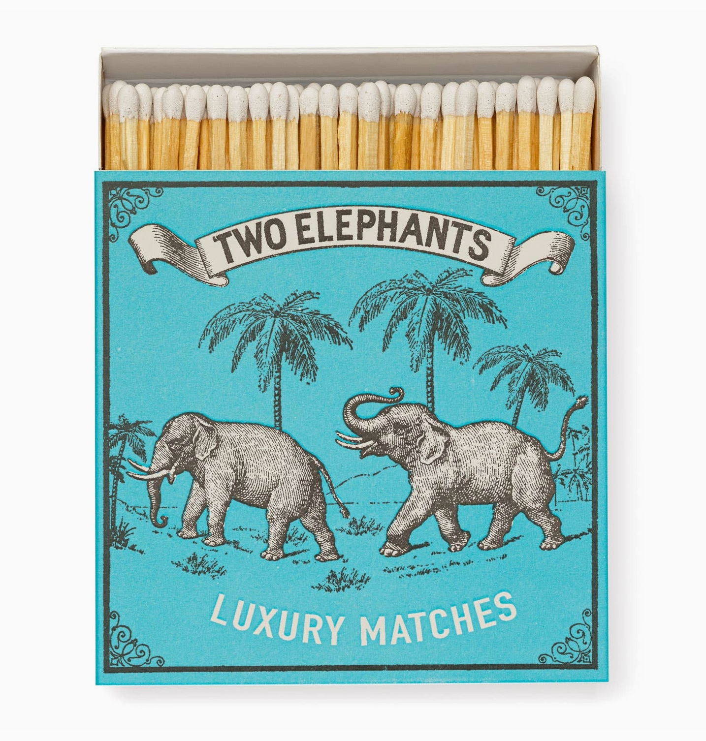 Two Elephants