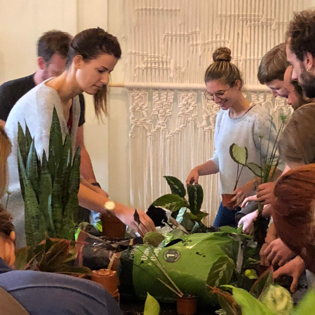 Workshop planten verzorgen en vermeerderen (14 maart 2026)