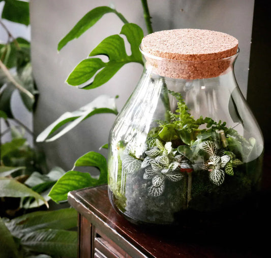 Workshop Mini Biosfeer (23 mei 2026)