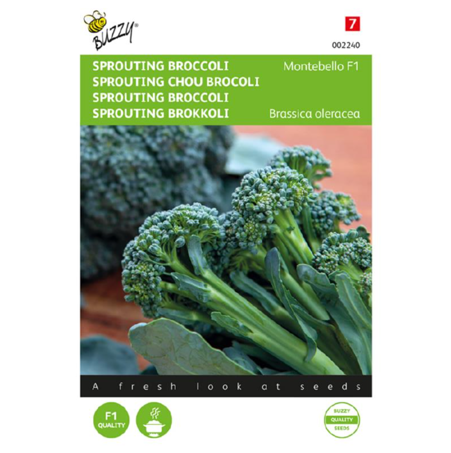 Sprouting Broccoli 'Montebello' F1