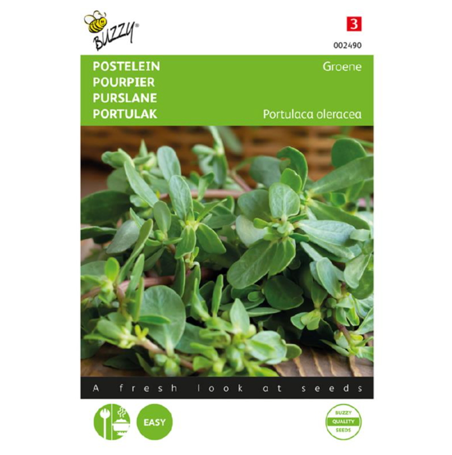 Groene Postelein