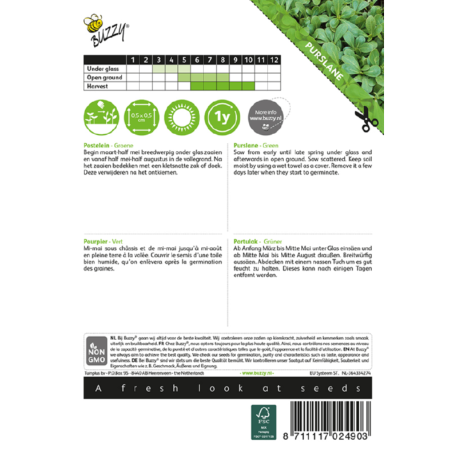 Groene Postelein