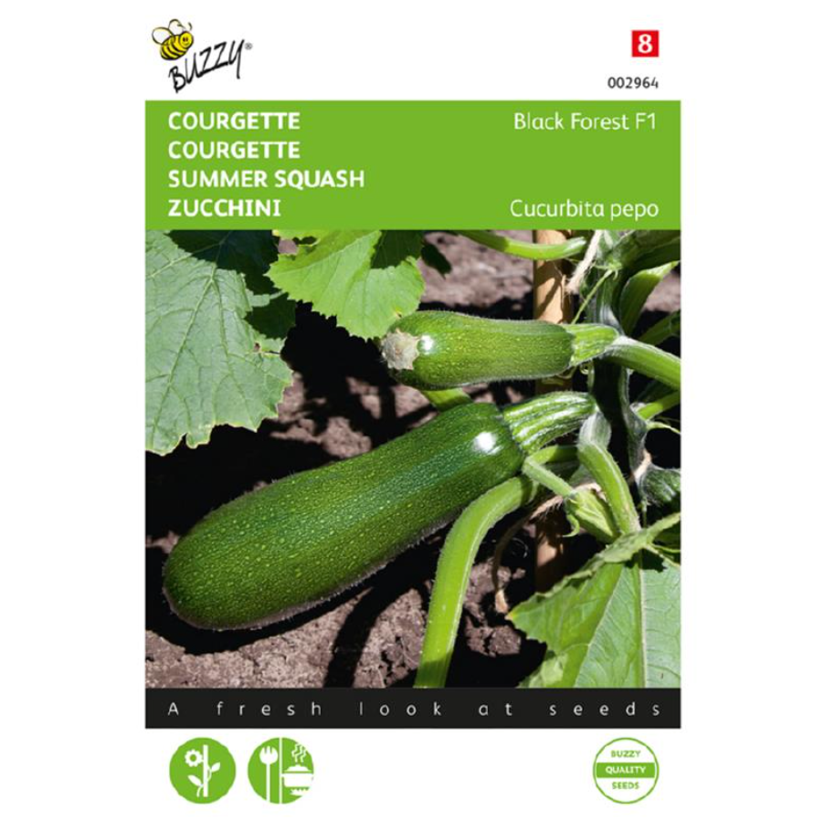 Courgette (Klimmend) 'Black Forest' F1