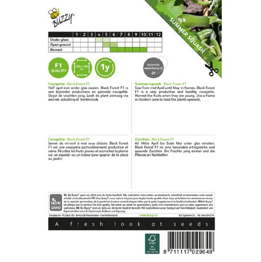 Courgette (Klimmend) 'Black Forest' F1