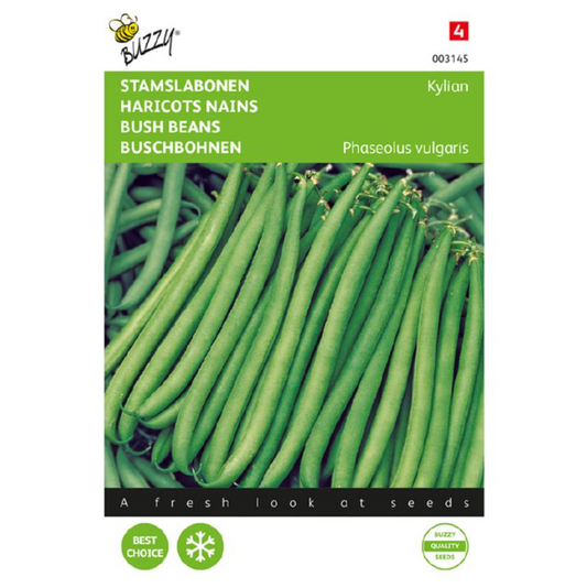 Stamslabonen 'Kylian'