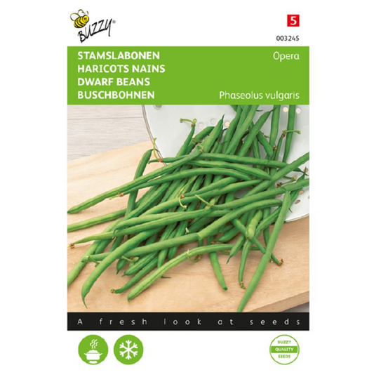 Stamslabonen 'Opera' (Gourmetboontje)