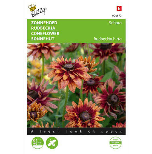 Zonnehoed, Rudbeckia 'Sahara'