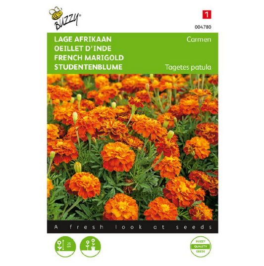 Lage Afrikaan, Tagetes 'Carmen'