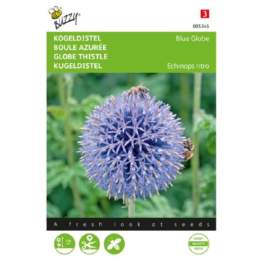Kogeldistel, Echinops ritro 'Blue Globe'