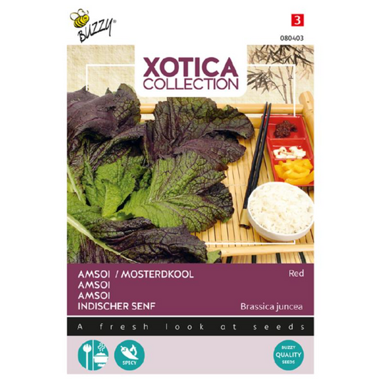 Mosterdkool, Rode Amsoi