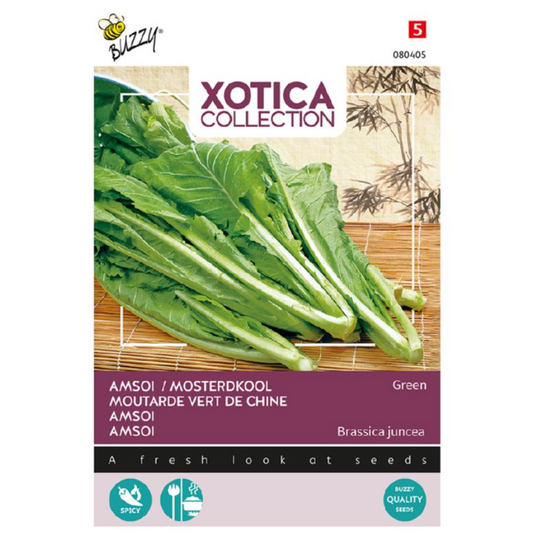 Mosterdkool, Groene Amsoi