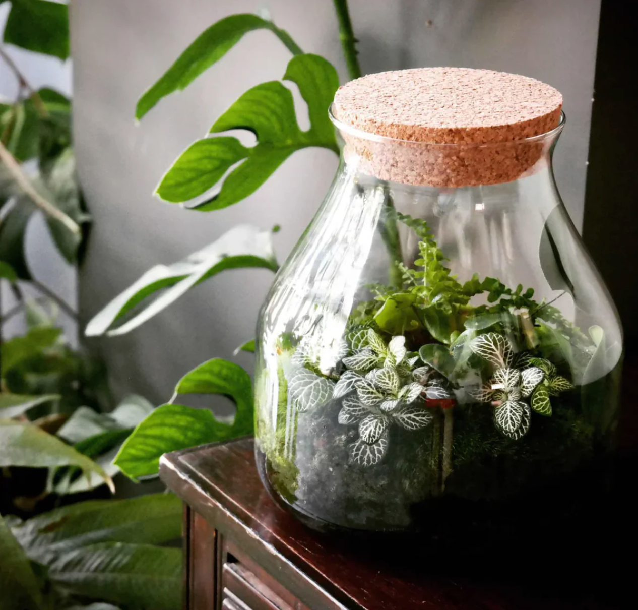 Workshop Mini Biosfeer (20 juni 2026)