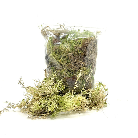 Sphagnum (veenmos) 4L