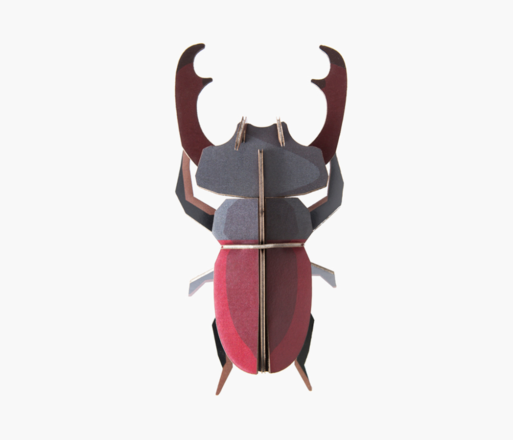 Small insects, Stag beetle