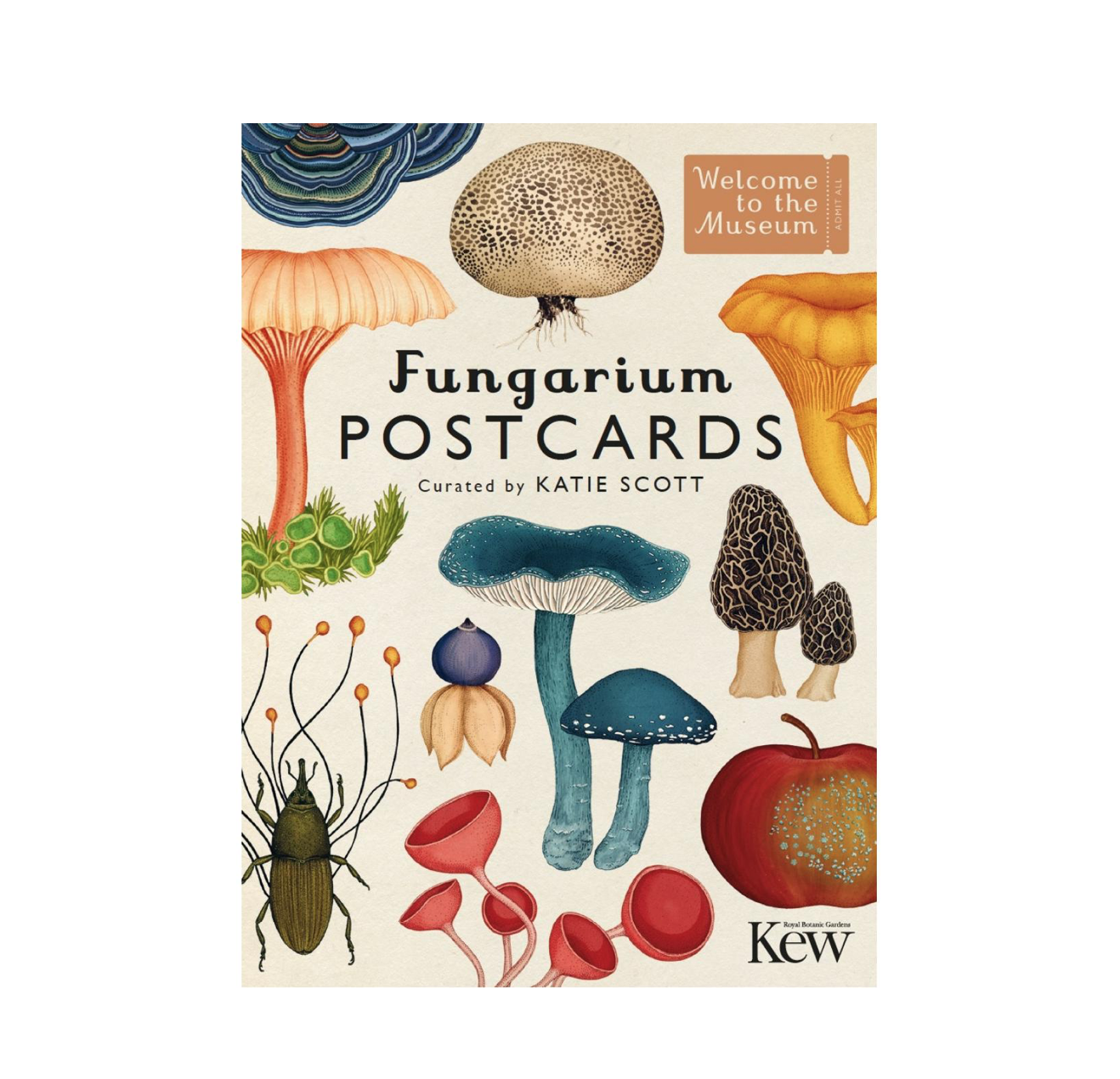 Welcome To The Museum - Fungarium postkaart box